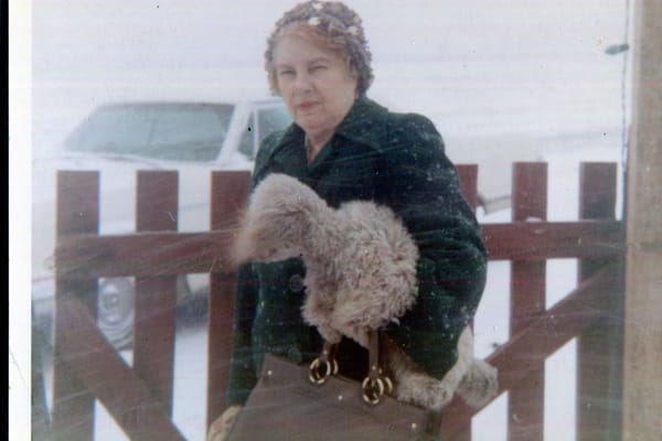 Photo of Bombi Dausin